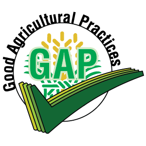 GAP